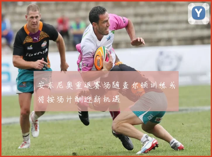 安东尼奥重返赛场随查尔顿训练或将按场计酬迎新机遇